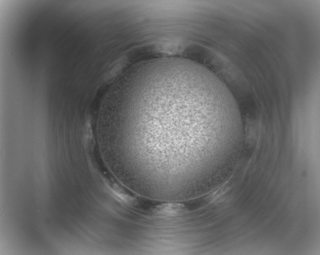 X0000070420128200606161448