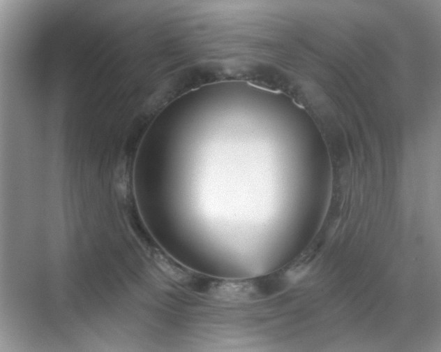 X0000070420129200606161448