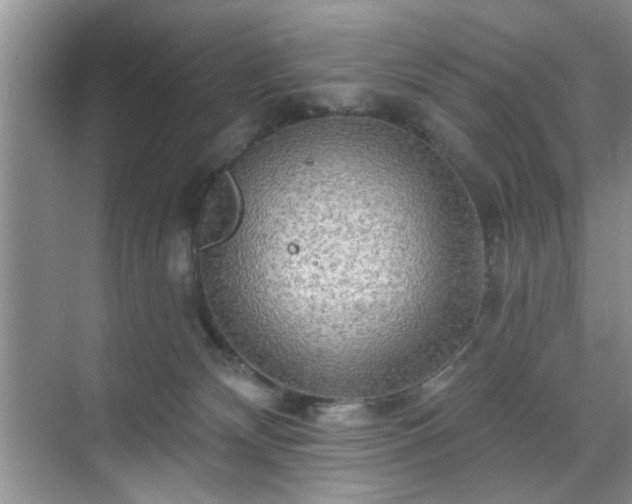 X0000070420132200606161448