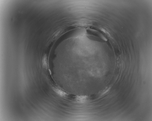 X0000070420143200606161448