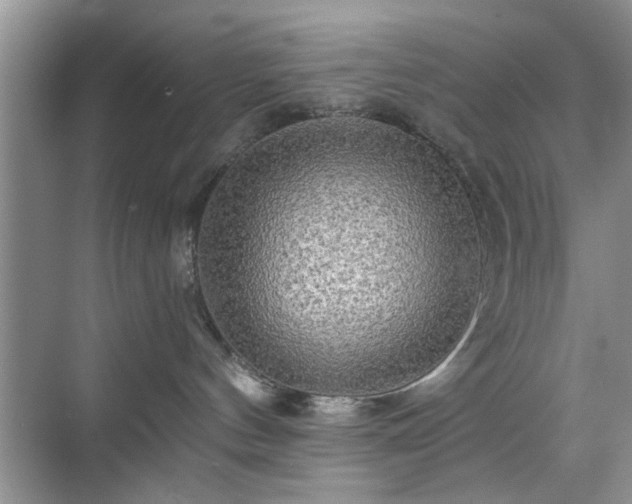 X0000070420144200606161448