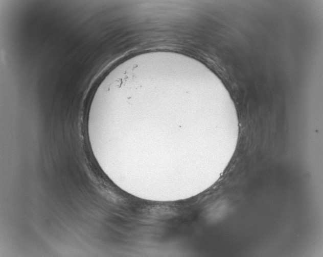 X0000070420146200606161447