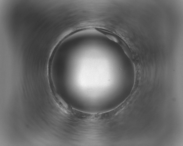 X0000070420148200606161447