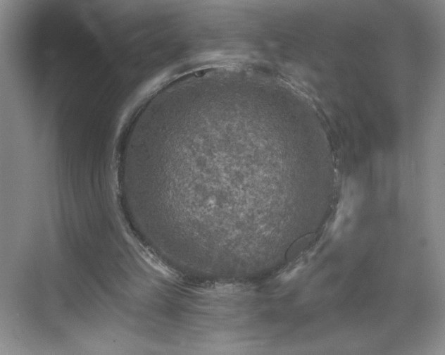 X0000070420149200606161447