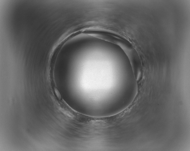 X0000070420150200606161447