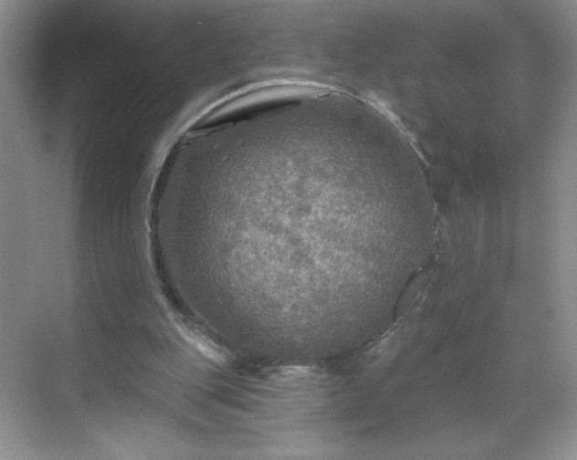 X0000070420151200606161447