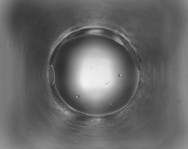 X0000070420152200606161447