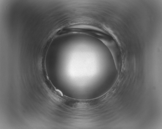 X0000070420154200606161447