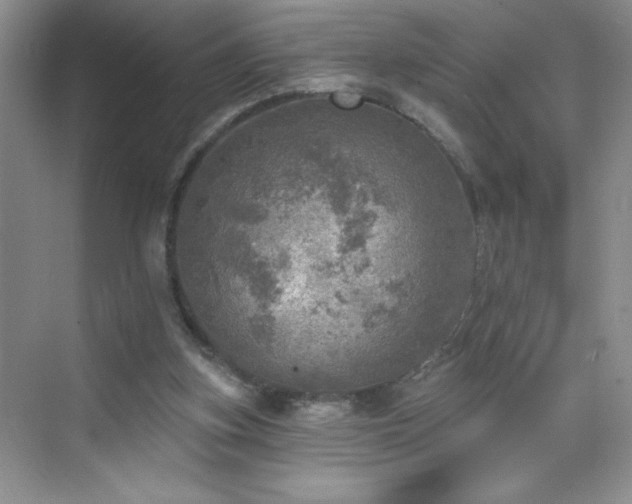 X0000070420155200606161447