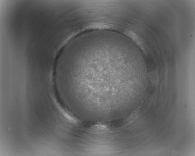 X0000070420159200606161447