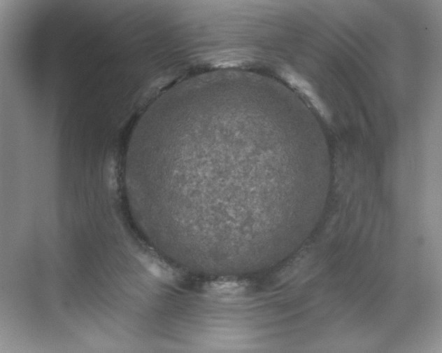 X0000070420161200606161447