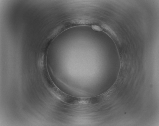 X0000070420163200606161447