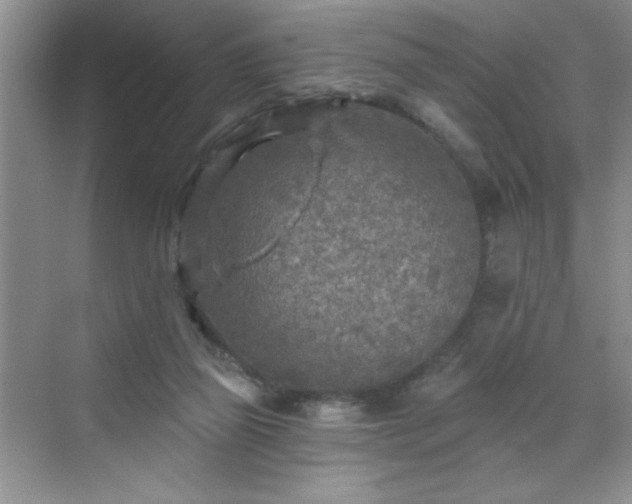 X0000070420165200606161447