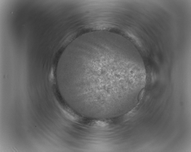 X0000070420166200606161447