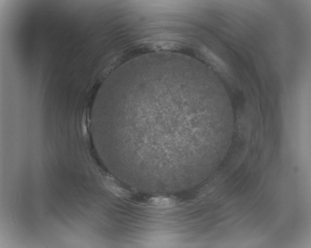 X0000070420169200606161447