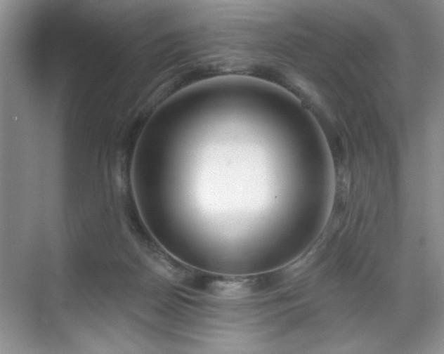 X0000070420170200606161447