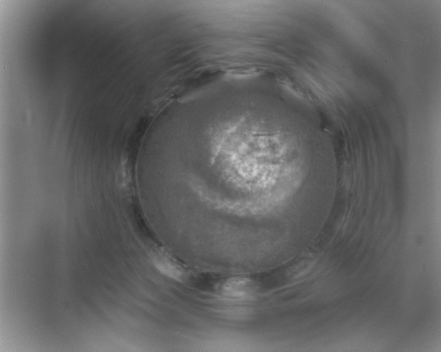 X0000070420173200606161447