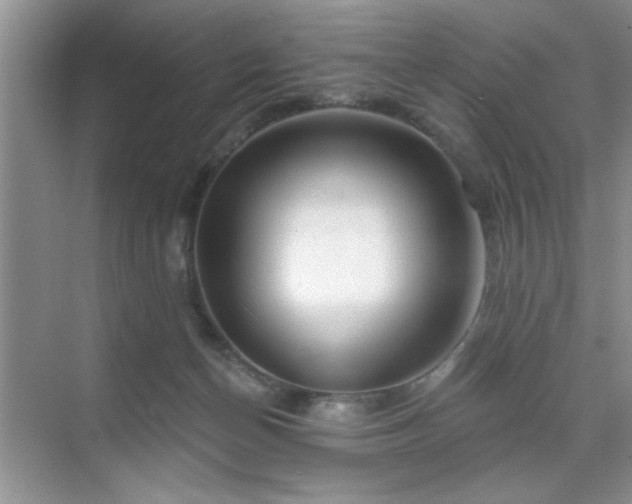 X0000070420174200606161447