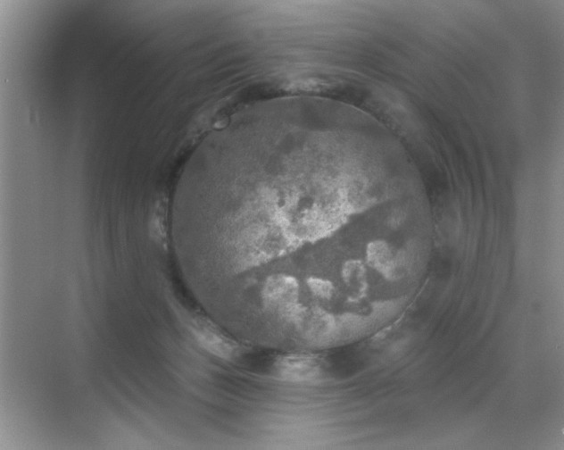 X0000070420175200606161447