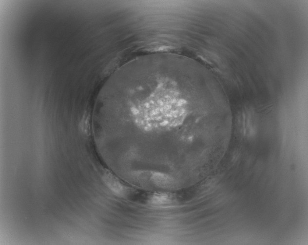 X0000070420177200606161447