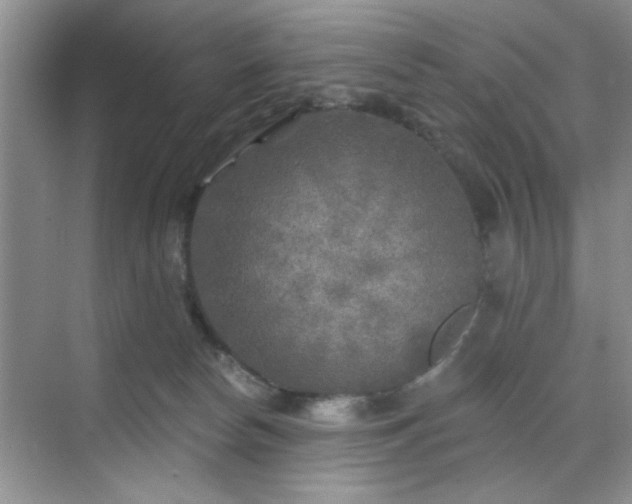 X0000070420178200606161447