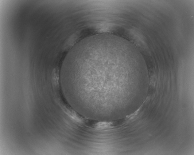 X0000070420179200606161447