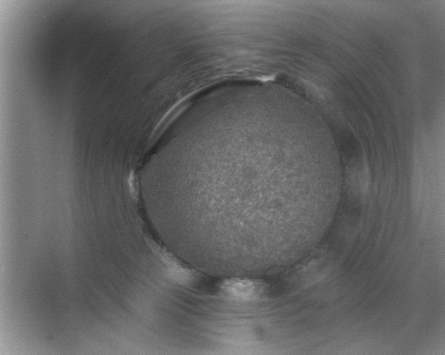 X0000070420181200606161447