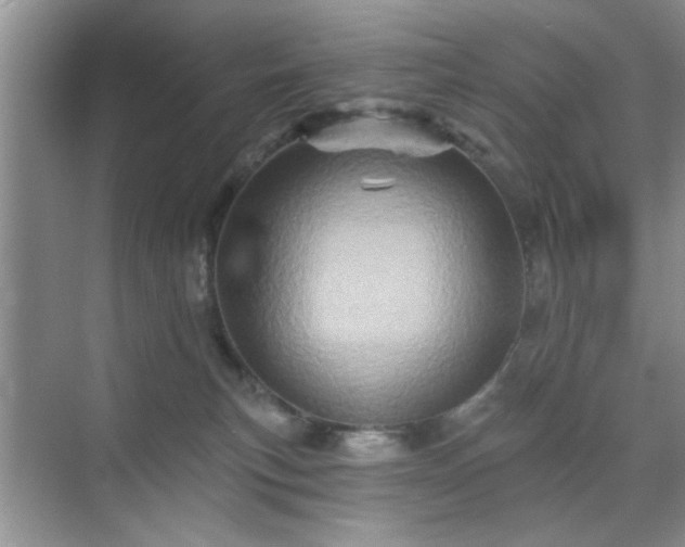 X0000070420183200606161447