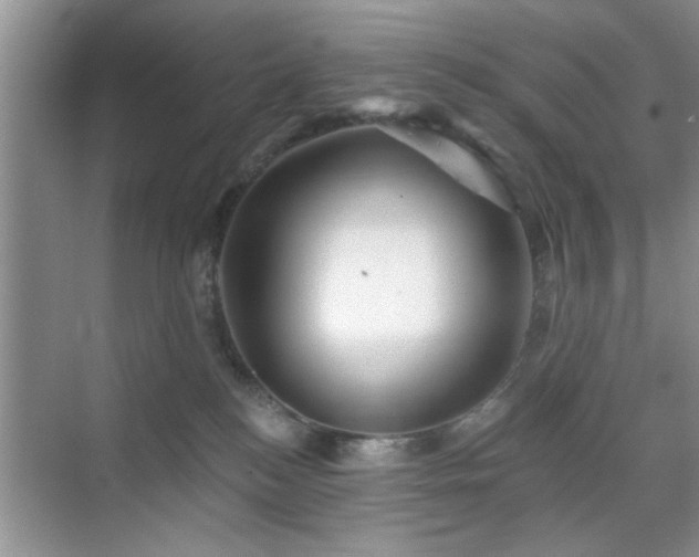 X0000070420184200606161447