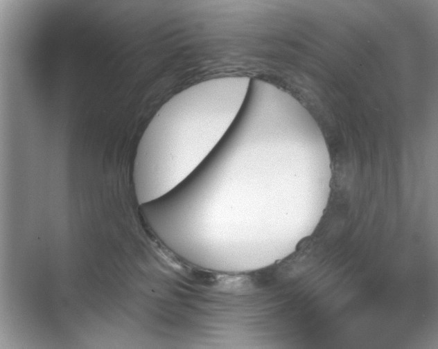 X0000070420185200606161447