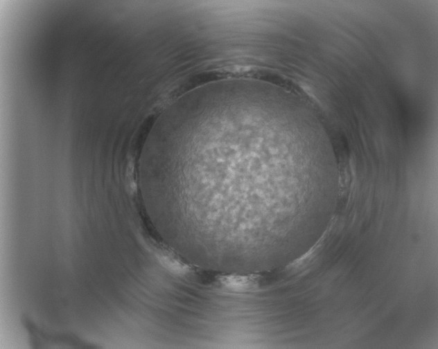 X0000070420187200606161447