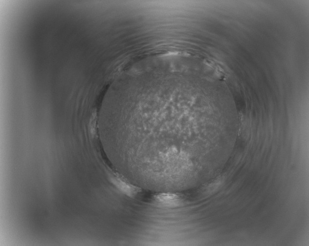 X0000070420189200606161447