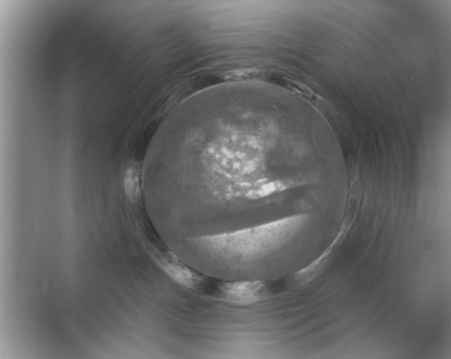 X0000070420191200606161447