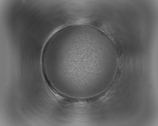 X0000070420196200606161447