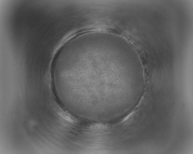 X0000070420198200606161447