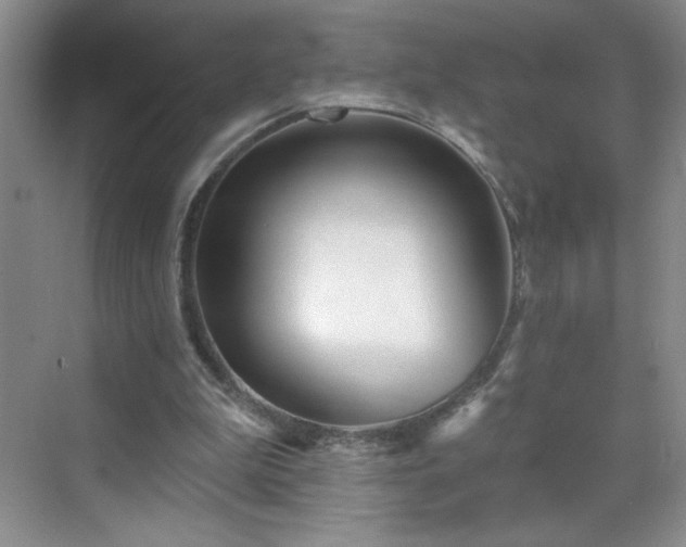 X0000070420199200606161447