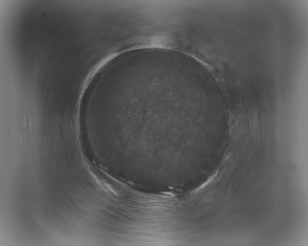 X0000070420200200606161447