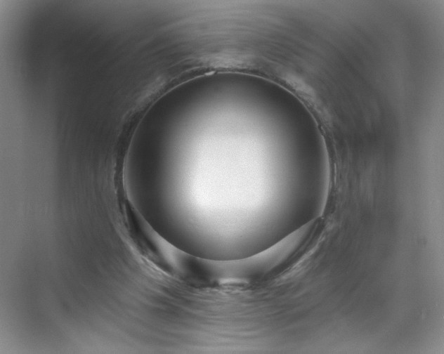 X0000070420201200606161447