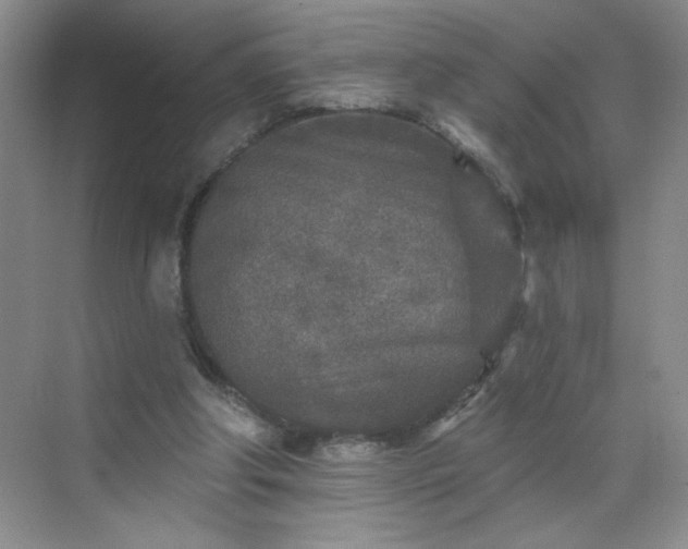 X0000070420202200606161447