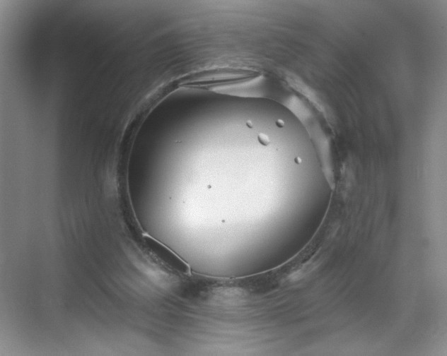 X0000070420203200606161447