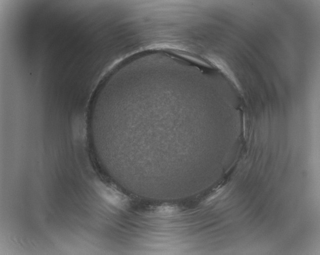 X0000070420204200606161446