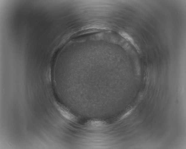 X0000070420205200606161446