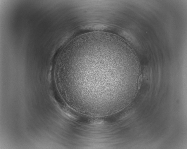 X0000070420206200606161446