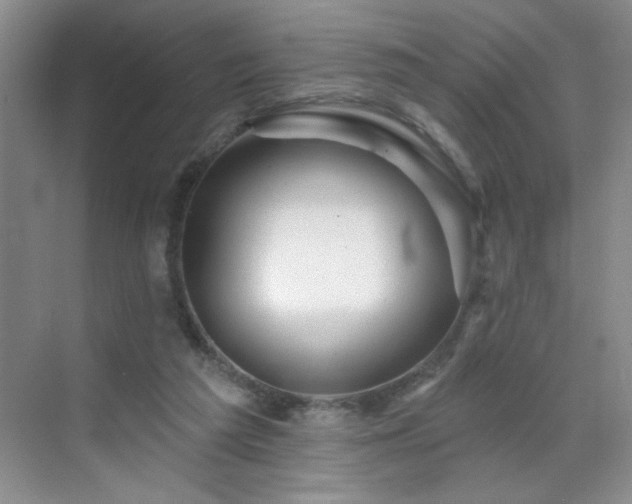 X0000070420209200606161446