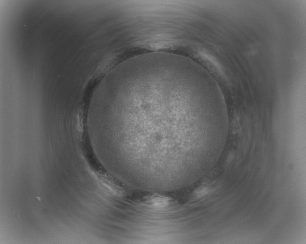 X0000070420210200606161446