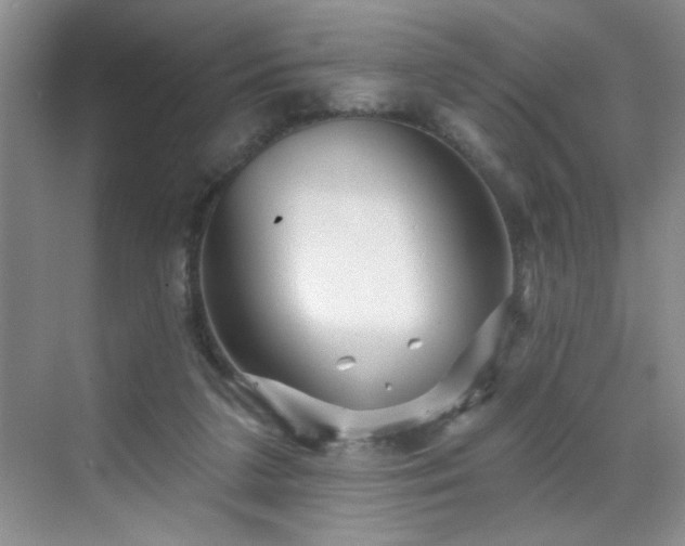 X0000070420211200606161446