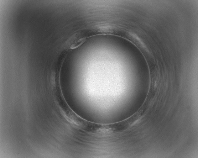 X0000070420213200606161446