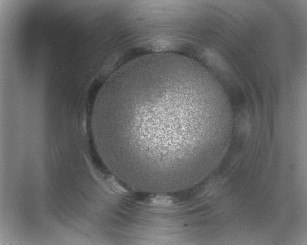 X0000070420214200606161446