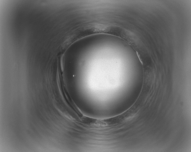 X0000070420215200606161446