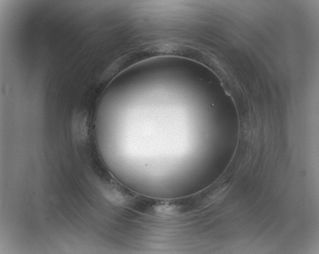 X0000070420216200606161446